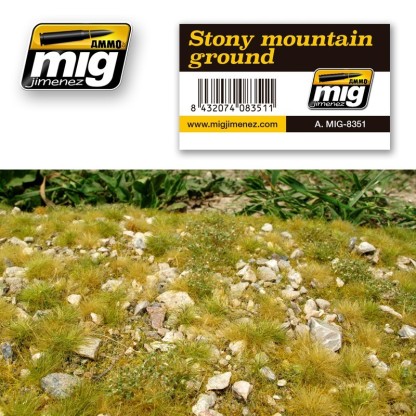 STONY MOUNTAIN GROUND