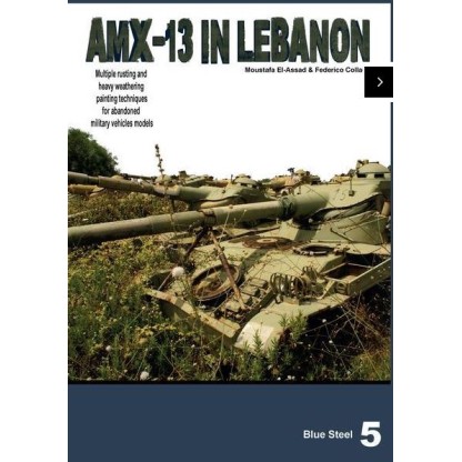 Blue steel 5 AMX-13 abandoned in Lebanon