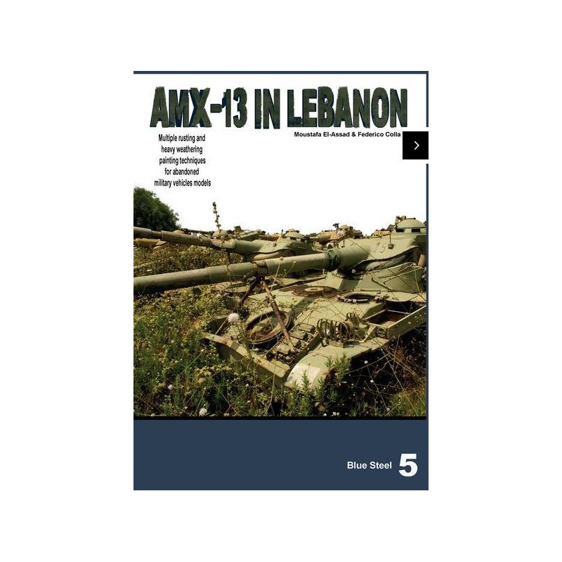 Blue steel 5 AMX-13 abandoned in Lebanon