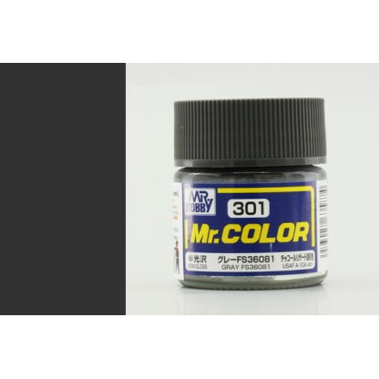Mr. Color (10 ml) Gray FS36081