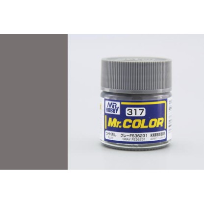 Mr. Color (10 ml) Gray FS36231