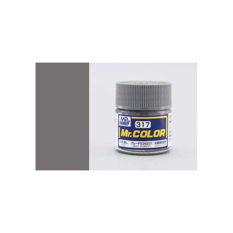 Mr. Color (10 ml) Gray FS36231
