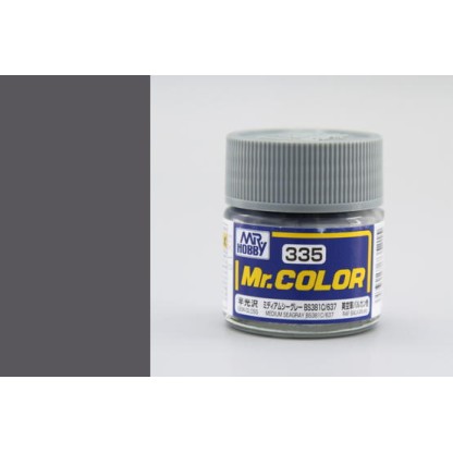 Mr. Color (10 ml) Medium Seagray BS381C 637