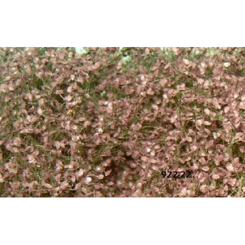 FOLIAJE HAYA ROJA VERANO