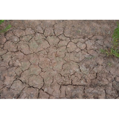 Gravel and sand fixer 100 ml. 2