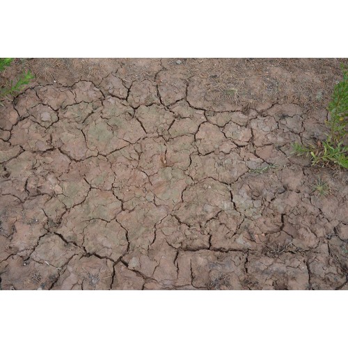 Pegamento para terrenos 100 ml.