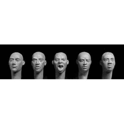 5 heads with Central Asian features, cropped hair 1/35