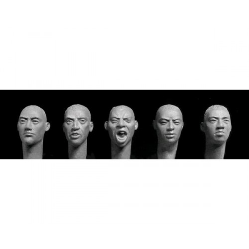 5 heads with Central Asian features, cropped hair 1/35
