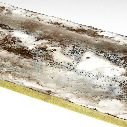 Pegamento para terrenos 100 ml.