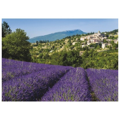 500 FALCON - The 18th Hole