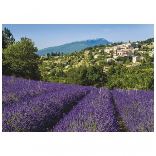 500 FALCON - The 18th Hole