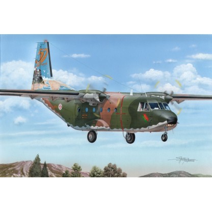 Hispano HA-1112 M-1L Buchón 