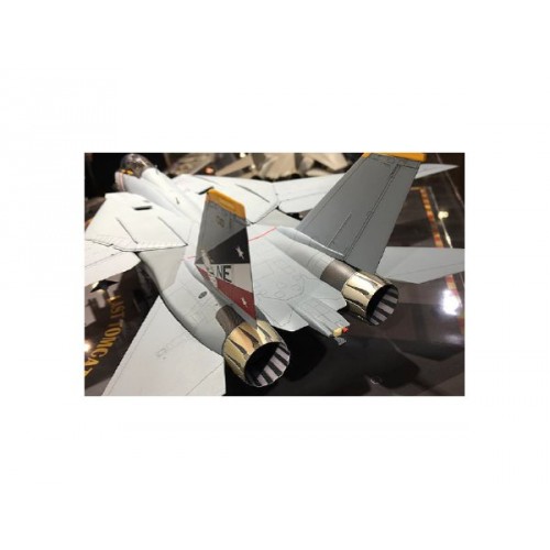 Grumman F-14D Tomcat 1/48