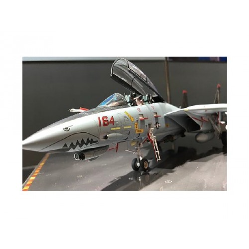 Grumman F-14D Tomcat 1/48