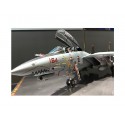 Grumman F-14D Tomcat 1/48