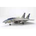 Grumman F-14D Tomcat 1/48