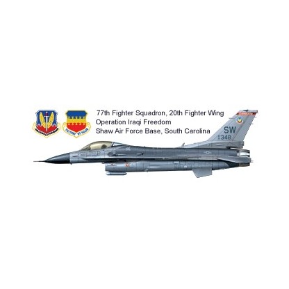 Lockheed-Martin F-16CJ Fighting Falcon Block 50 Fighting Falcon 1/32 2