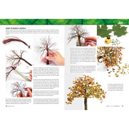 AK LEARNING 10 DOMINANDO LA VEGETACIÓN EN MODELISMO 2