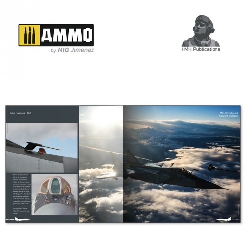 FRENTE DEL ESTE. VEHÍCULOS RUSOS 1935-1945. GUIA DE CAMUFLAJES