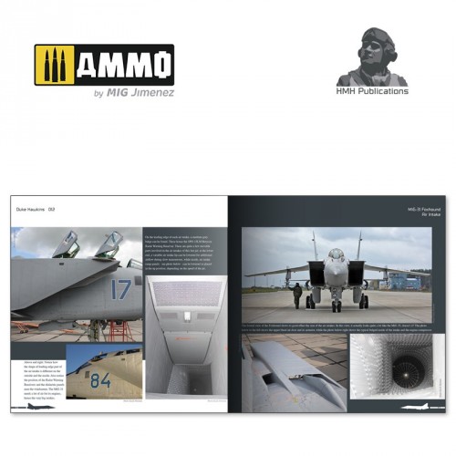 FRENTE DEL ESTE. VEHÍCULOS RUSOS 1935-1945. GUIA DE CAMUFLAJES