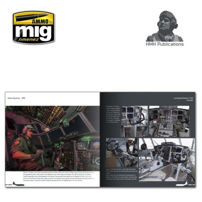 FRENTE DEL ESTE. VEHÍCULOS RUSOS 1935-1945. GUIA DE CAMUFLAJES 2