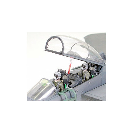 McDonnell F-15E Strike Eagle Bunker