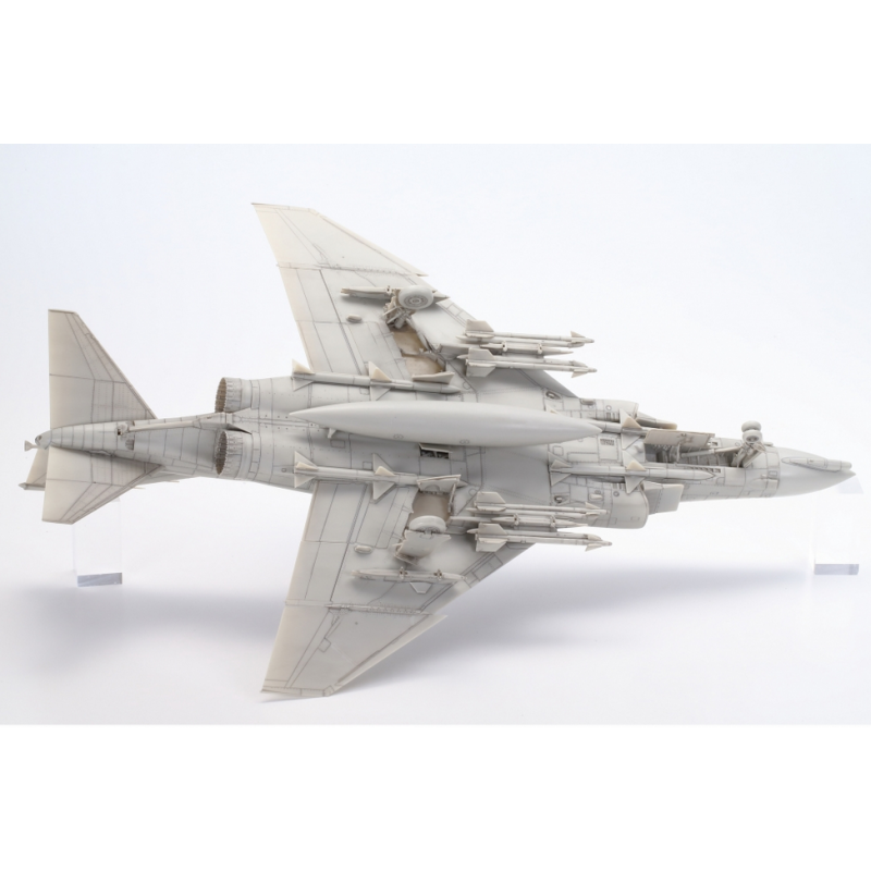 Grumman F-14A Tomcat 1/48