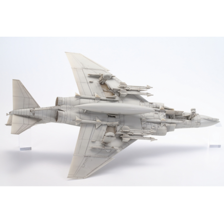 Grumman F-14A Tomcat 1/48