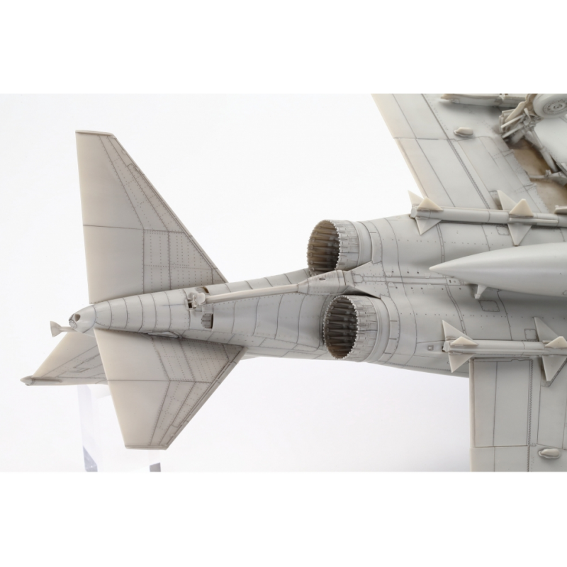 Grumman F-14A Tomcat 1/48