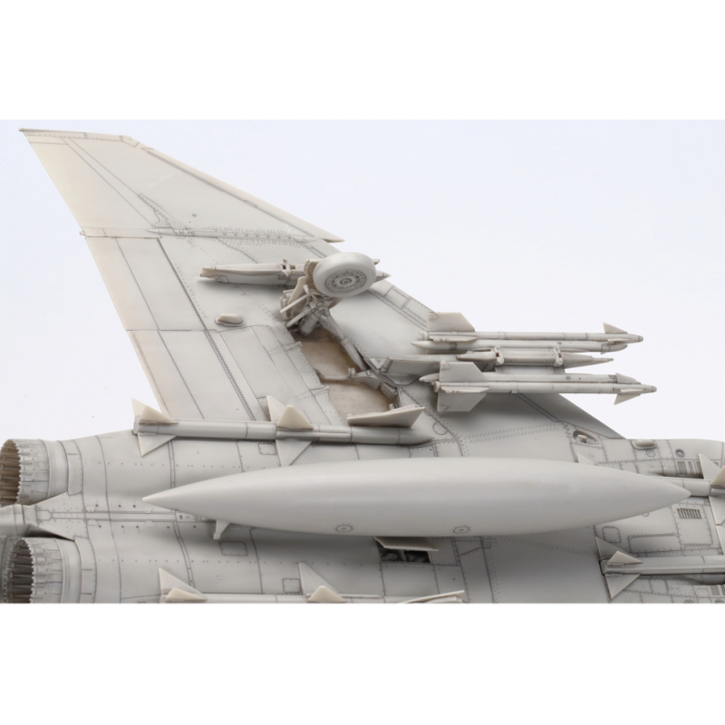 Grumman F-14A Tomcat 1/48