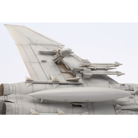 Grumman F-14A Tomcat 1/48