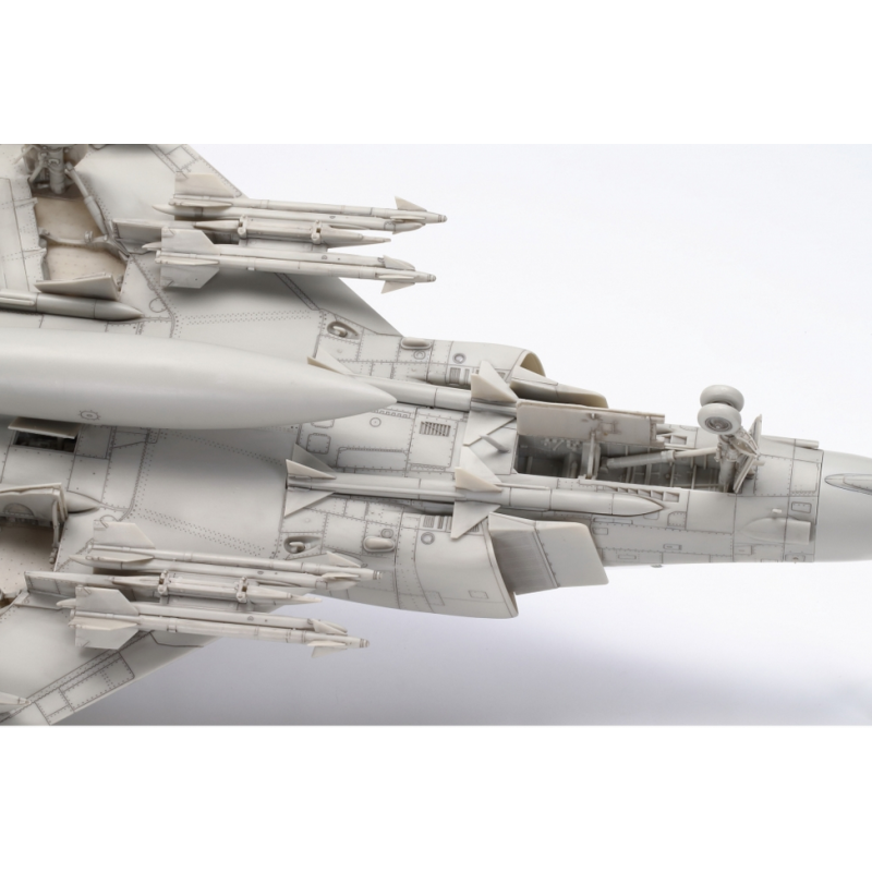 Grumman F-14A Tomcat 1/48