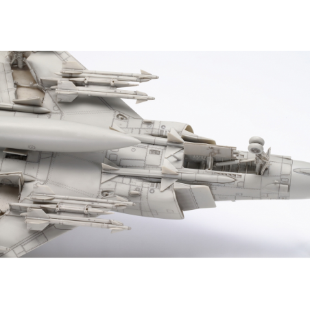 Grumman F-14A Tomcat 1/48
