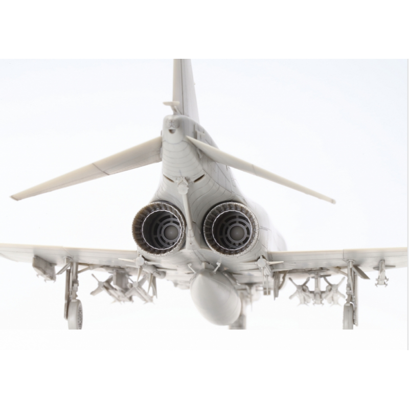 Grumman F-14A Tomcat 1/48