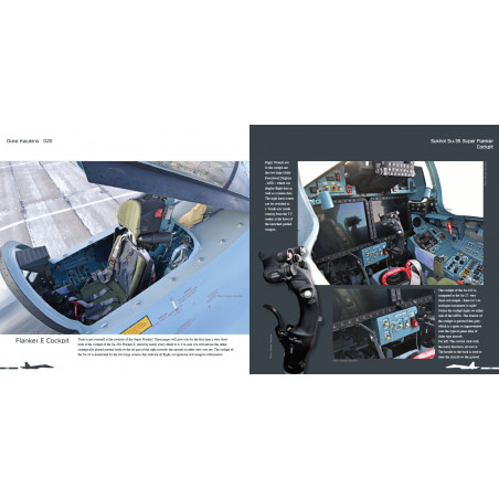 Duke Hawkins: Sukhoi Su-35S Flanker E