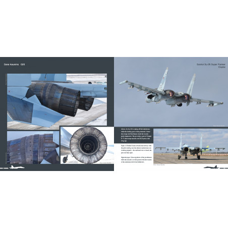 Duke Hawkins: Sukhoi Su-35S Flanker E