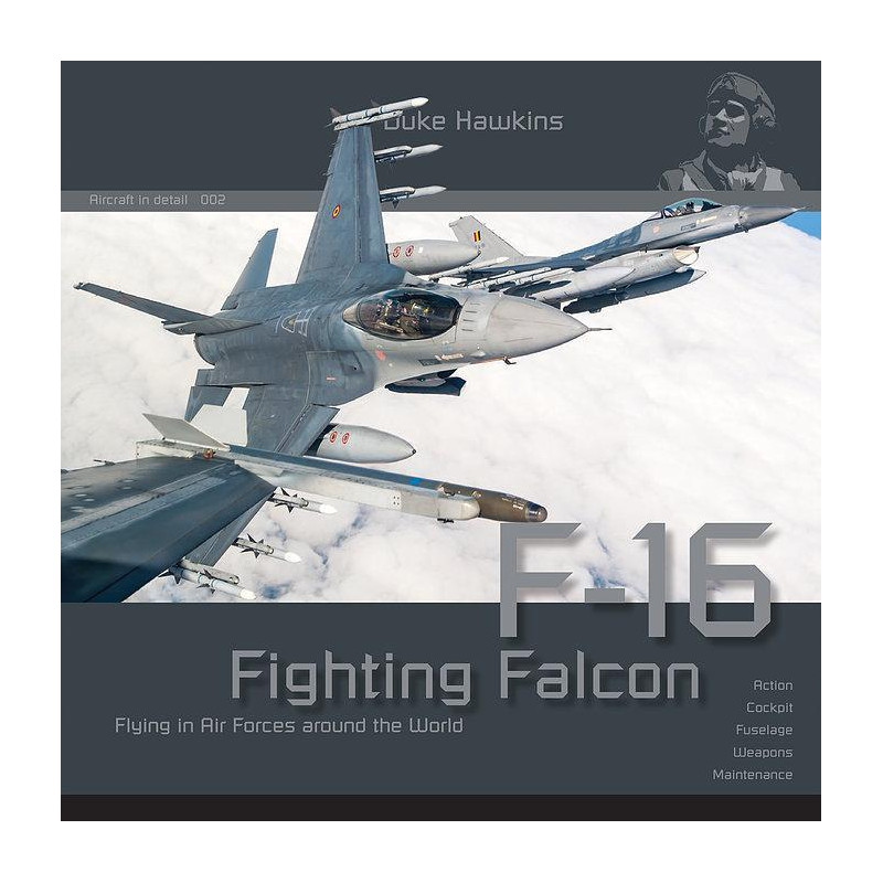 Duke Hawkins: Fighting Falcon F-16 (108 pages)