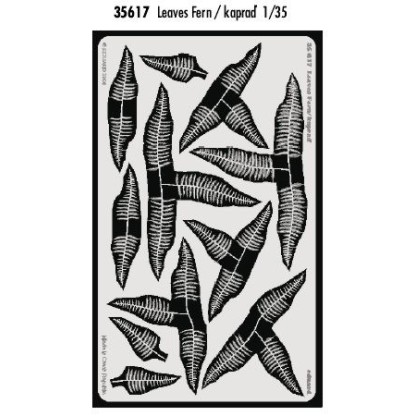 PLANTAS HELECHOS 1/35