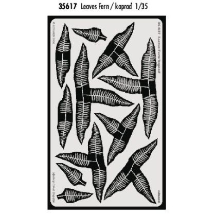 PLANTAS HELECHOS 1/35 2