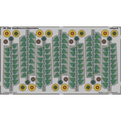 GIRASOLES A COLOR 1/35