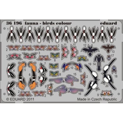 Fauna - birds colour 1/35
