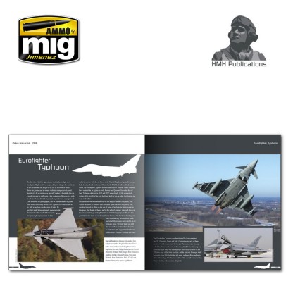 Duke Hawkins: The Sepecat Jaguar. 2