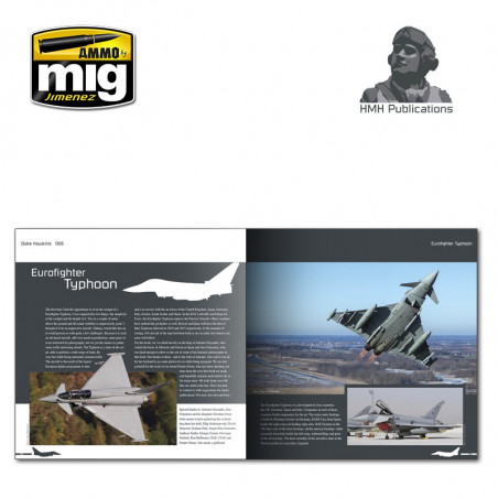 Duke Hawkins: The Sepecat Jaguar.