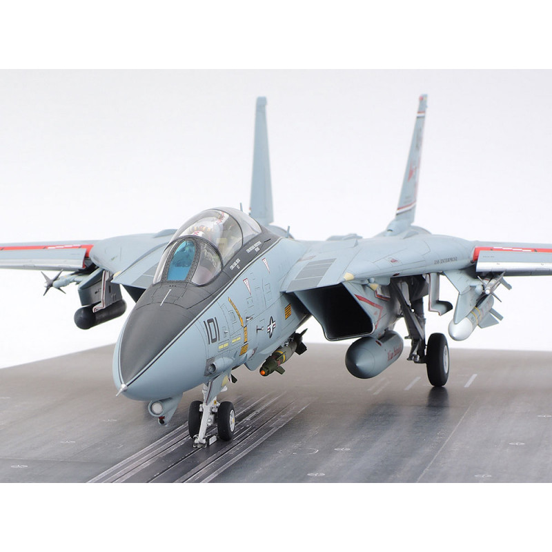 Grumman F-14A Tomcat 1/48