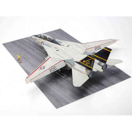 Grumman F-14A Tomcat 1/48