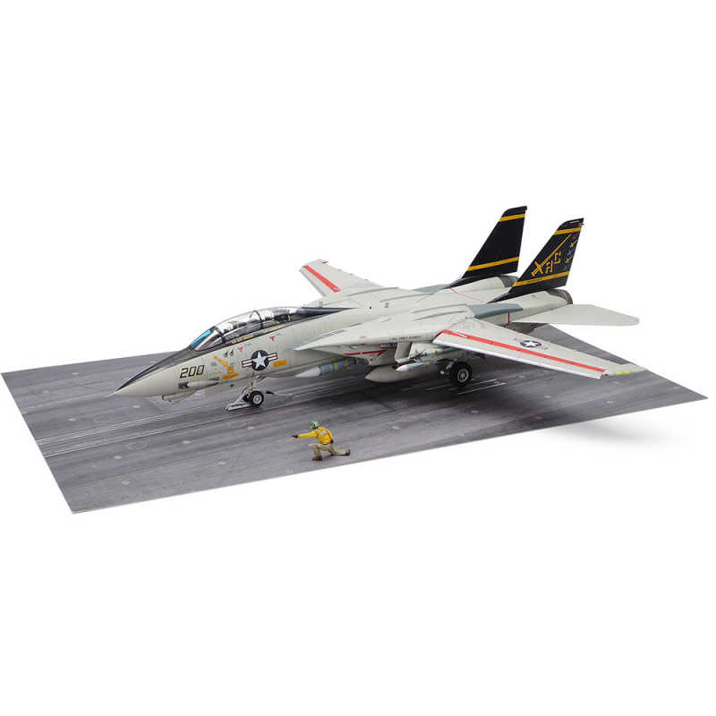 Grumman F-14A Tomcat 1/48