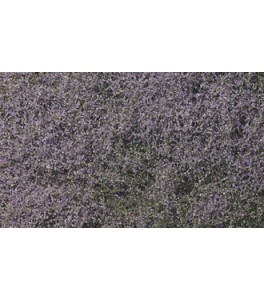 Flowering Foliage™ Purple