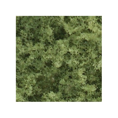 ENRERADERA VERDE CLARO