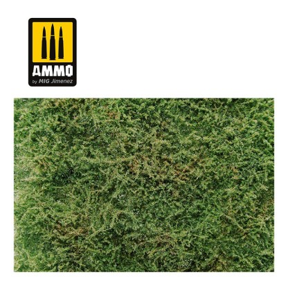 ARBUSTOS PEQUEÑOS – PRIMAVERA 2