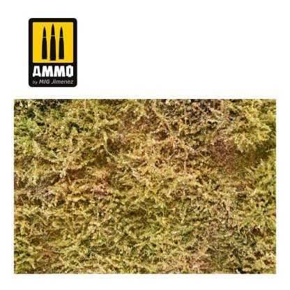 Wilderness Fields with bushes - Late Summer 2